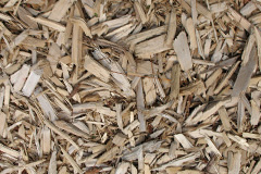biomass boilers Hawthorns